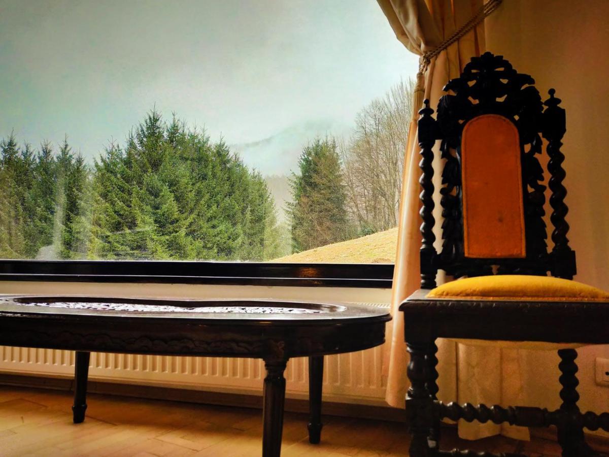 Villa & Spa 4Temporadas - Plaiul Foii Zărneşti Esterno foto