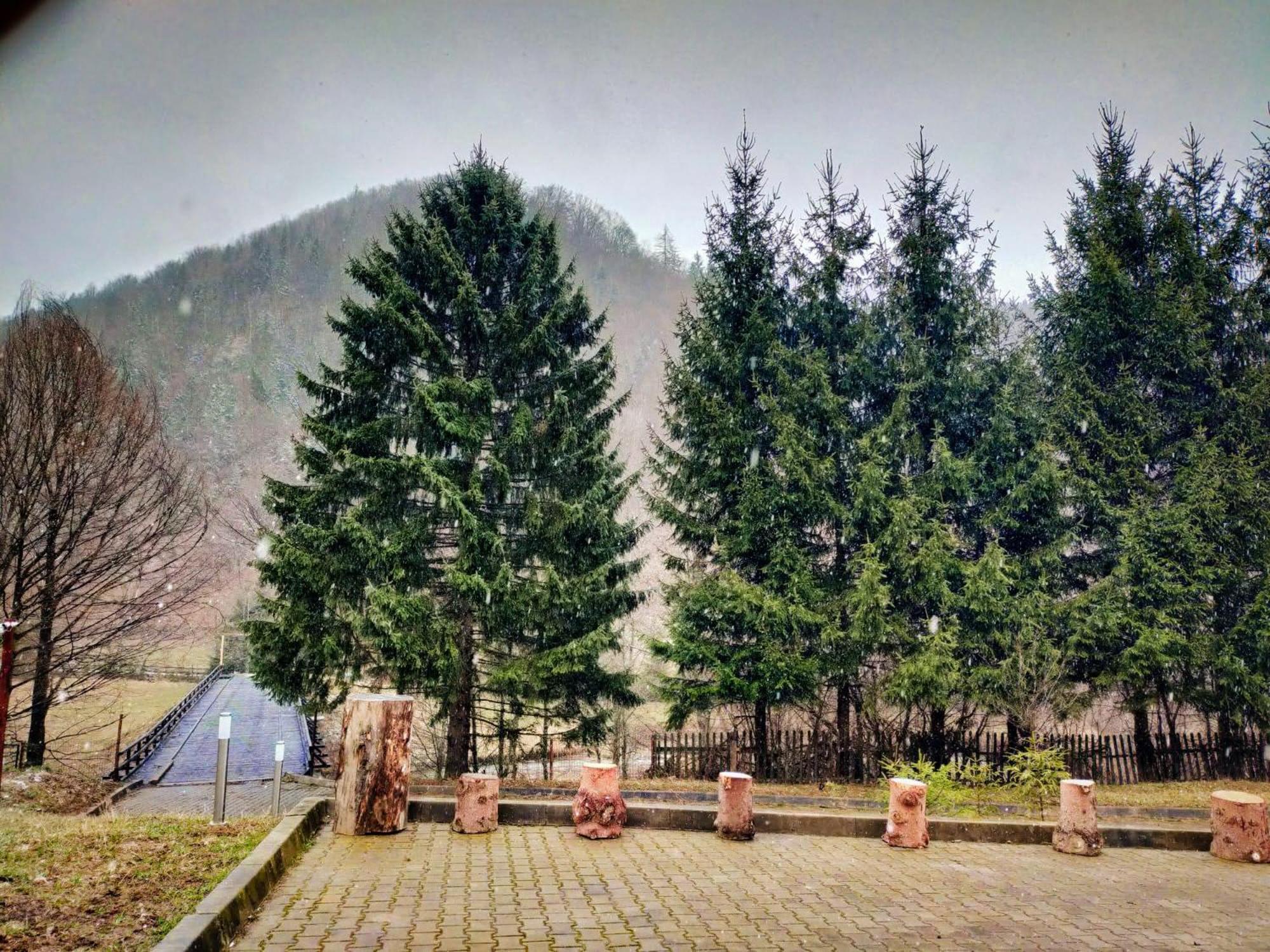 Villa & Spa 4Temporadas - Plaiul Foii Zărneşti Esterno foto