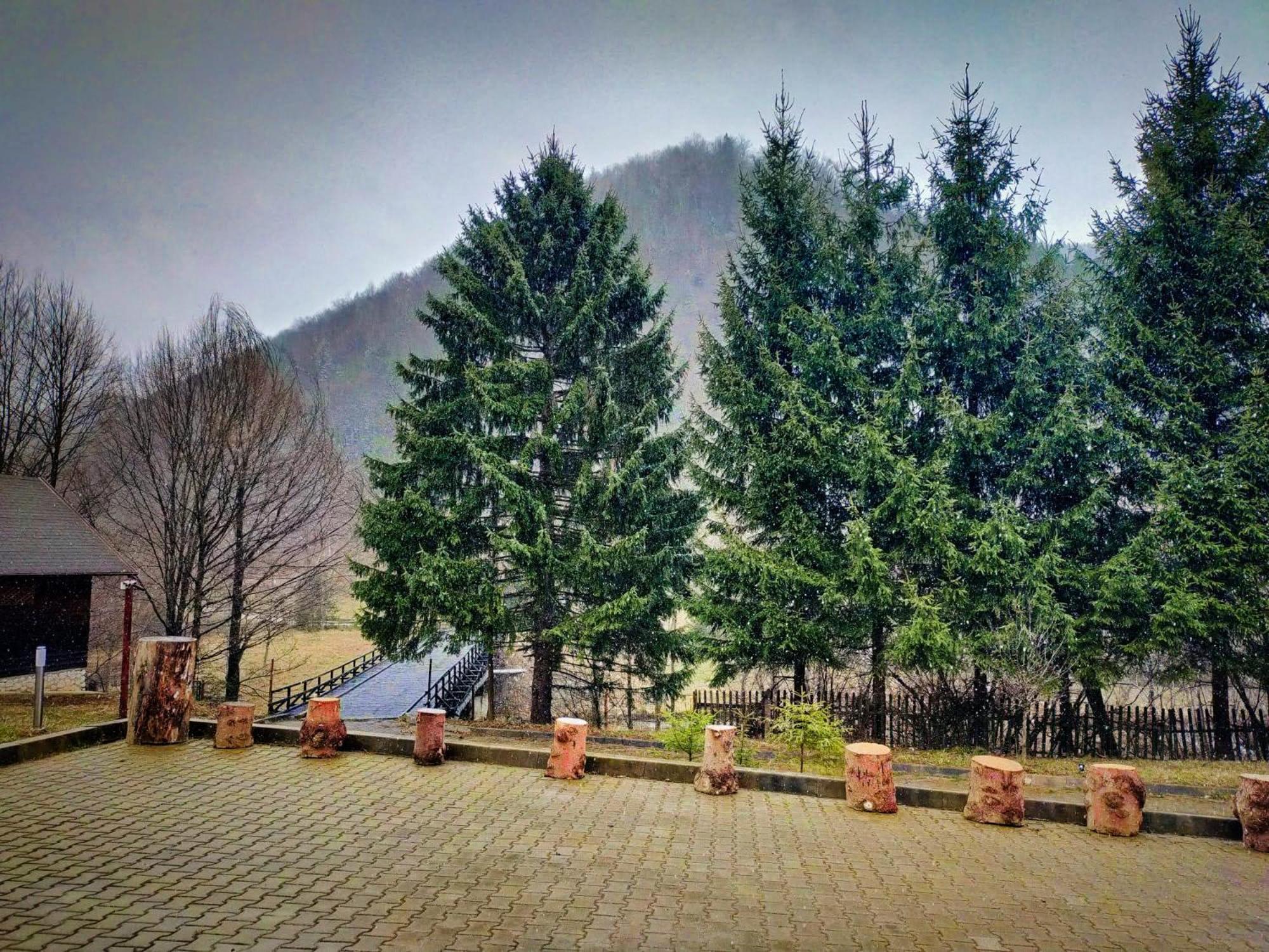 Villa & Spa 4Temporadas - Plaiul Foii Zărneşti Esterno foto